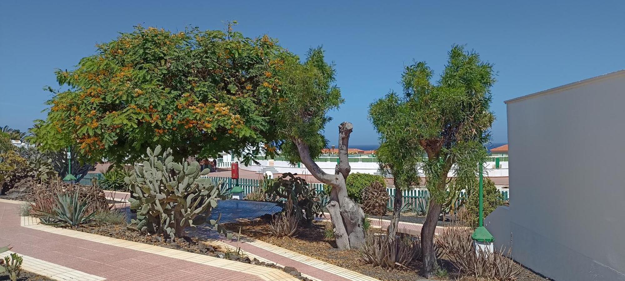 Вілла Casa Gioeli Cocosol Коста-де-Антіґуа Екстер'єр фото